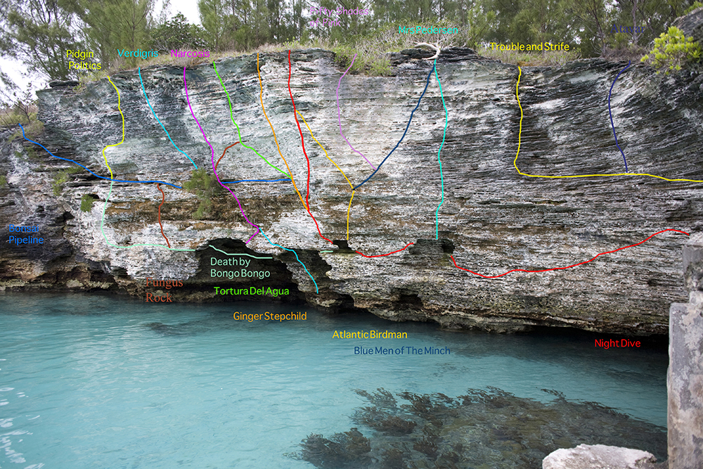 a5101810de4143f7116a73d7a7e1d680